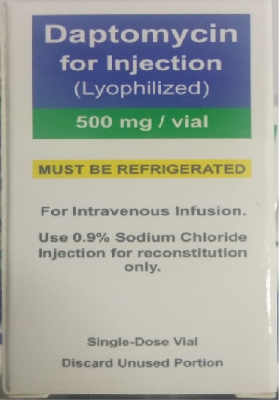 Daptomycin 500mg / Vial for Injection (Lyophilized)